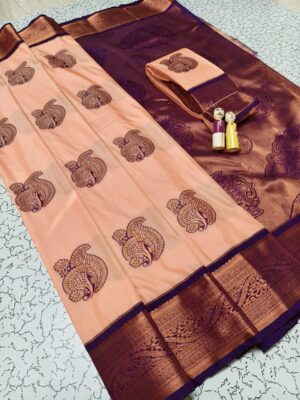 Wedding saree Brown