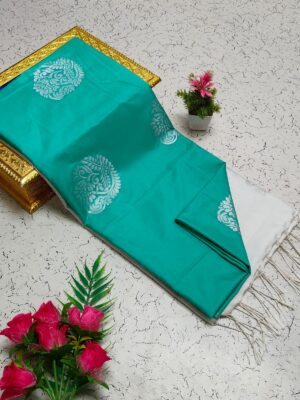 Turquoise Saree